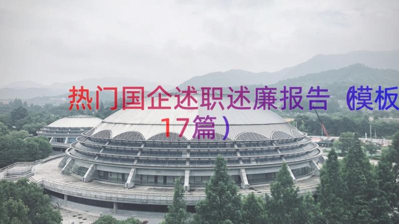 热门国企述职述廉报告（模板17篇）