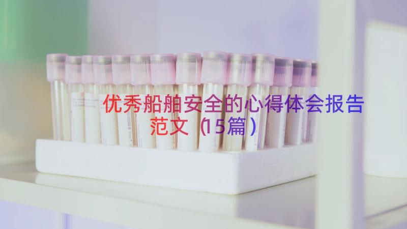 优秀船舶安全的心得体会报告范文（15篇）