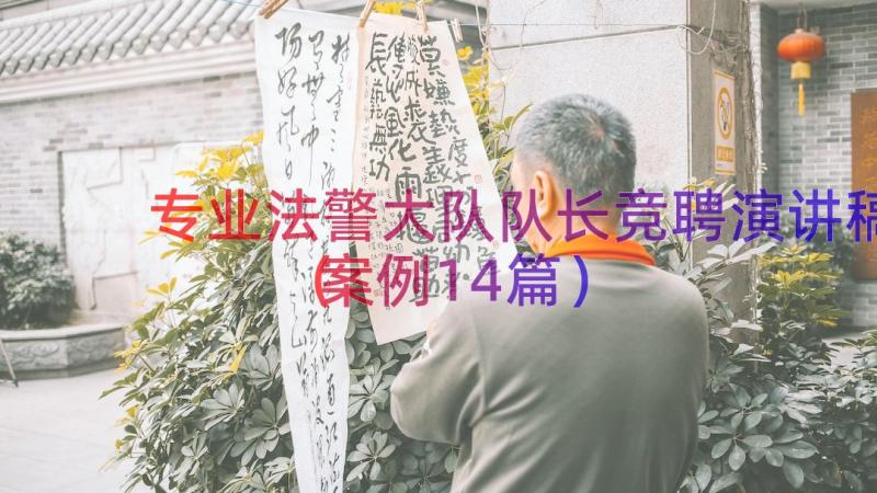 专业法警大队队长竞聘演讲稿（案例14篇）