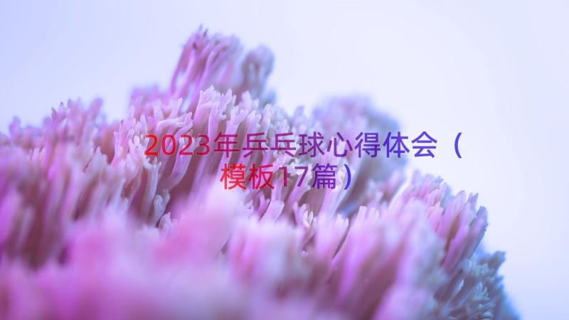 2023年乒乓球心得体会（模板17篇）