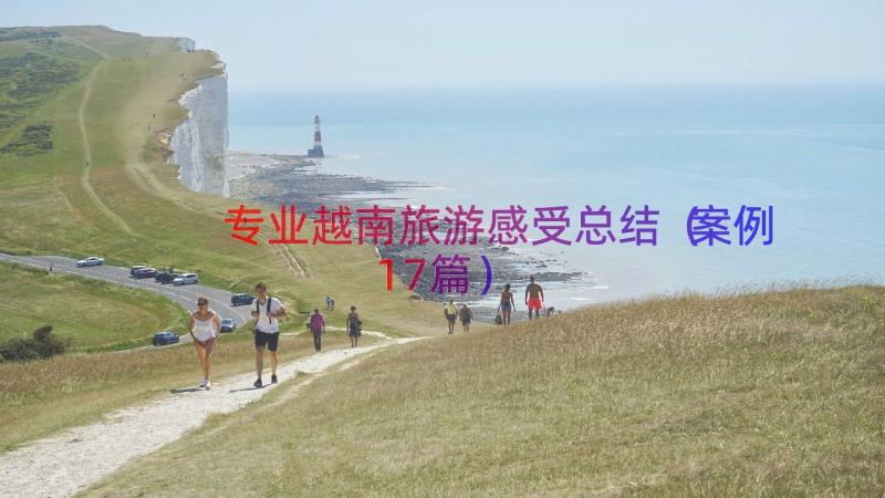 专业越南旅游感受总结（案例17篇）