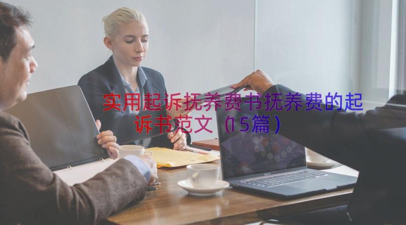 实用起诉抚养费书抚养费的起诉书范文（15篇）