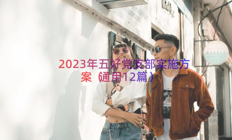 2023年五好党支部实施方案（通用12篇）