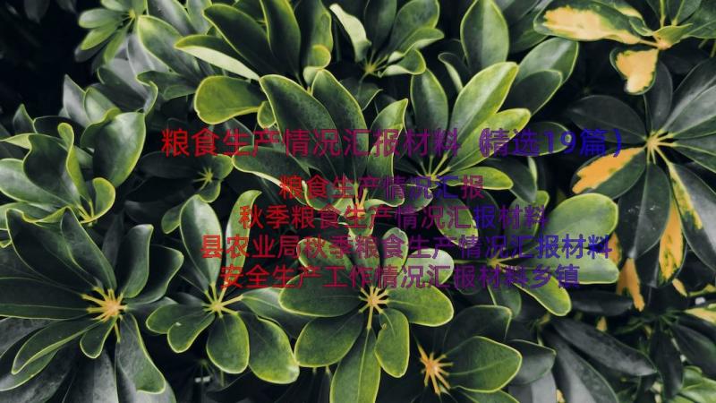 粮食生产情况汇报材料（精选19篇）