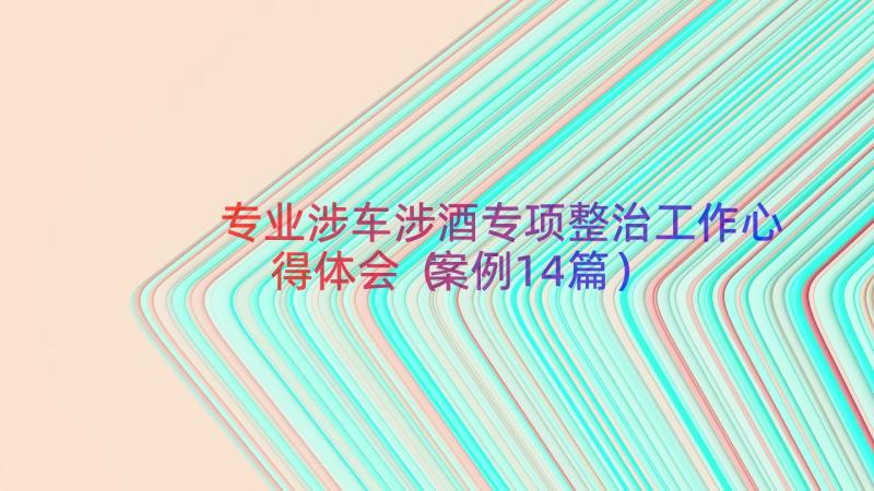 专业涉车涉酒专项整治工作心得体会（案例14篇）