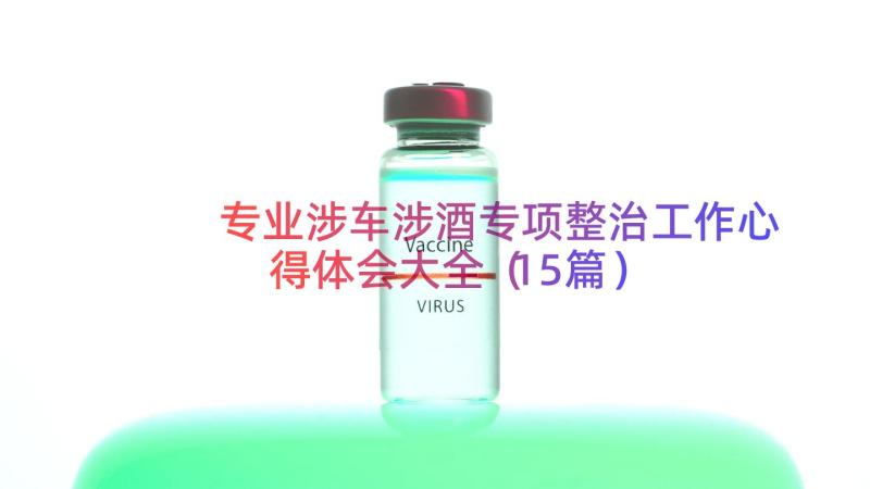 专业涉车涉酒专项整治工作心得体会大全（15篇）