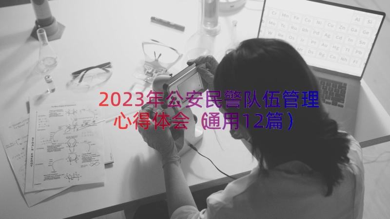 2023年公安民警队伍管理心得体会（通用12篇）