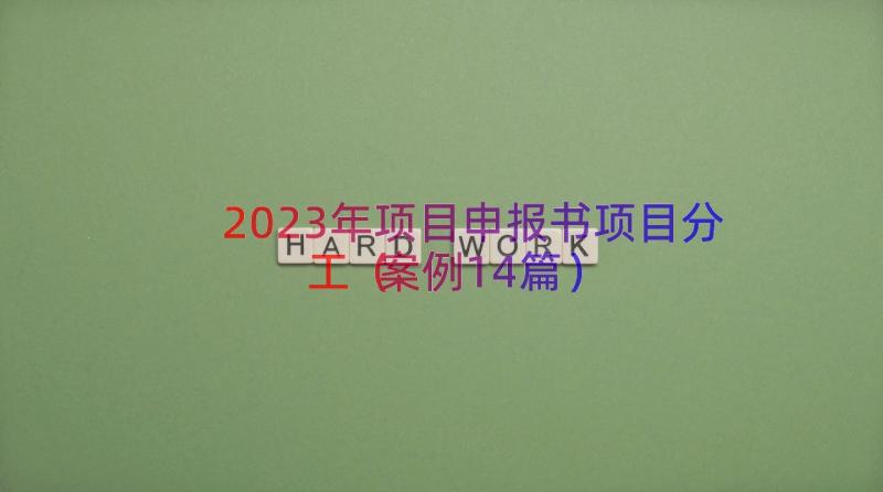 2023年项目申报书项目分工（案例14篇）