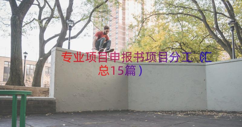 专业项目申报书项目分工（汇总15篇）