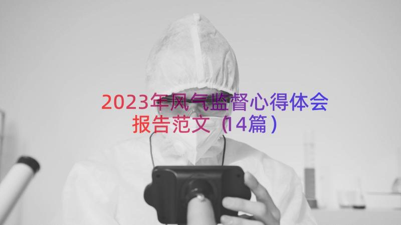 2023年风气监督心得体会报告范文（14篇）