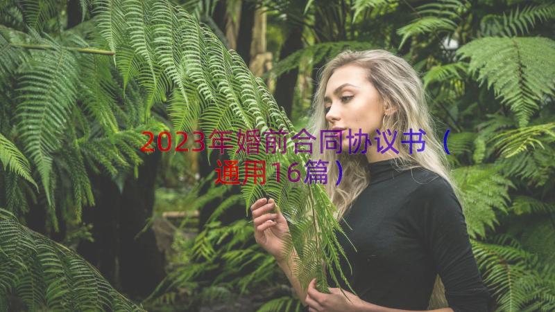 2023年婚前合同协议书（通用16篇）