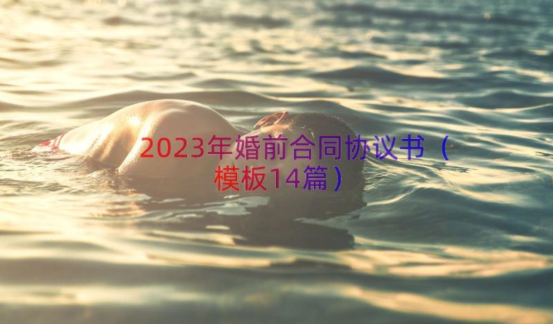 2023年婚前合同协议书（模板14篇）