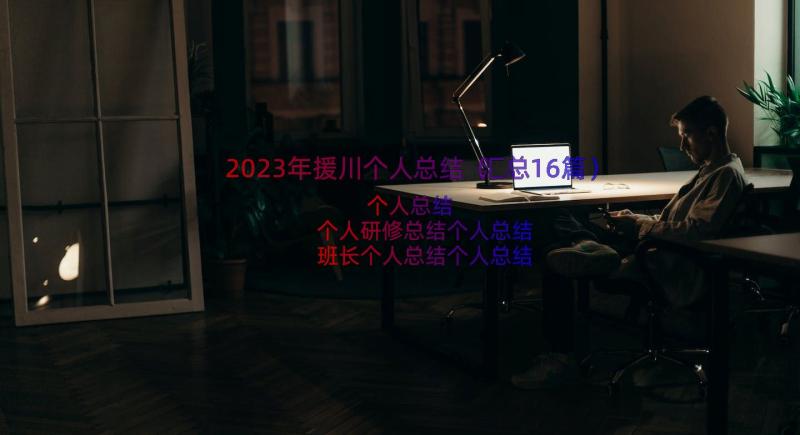 2023年援川个人总结（汇总16篇）