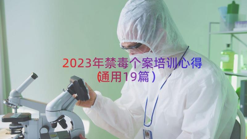 2023年禁毒个案培训心得（通用19篇）