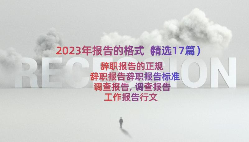 2023年报告的格式（精选17篇）