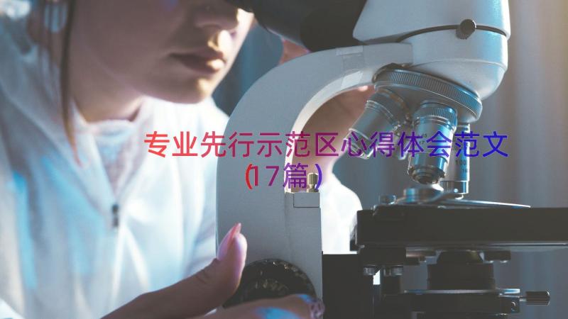 专业先行示范区心得体会范文（17篇）