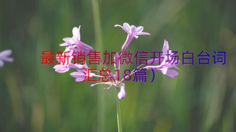 最新销售加微信开场白台词（汇总18篇）