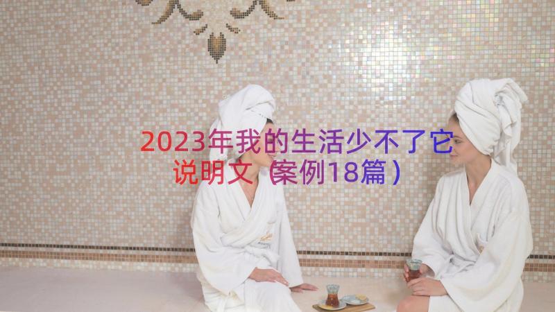 2023年我的生活少不了它说明文（案例18篇）