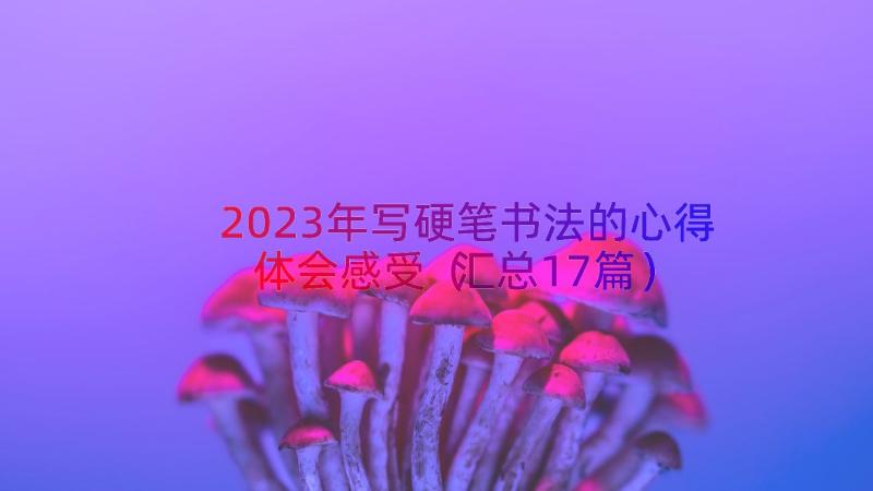 2023年写硬笔书法的心得体会感受（汇总17篇）