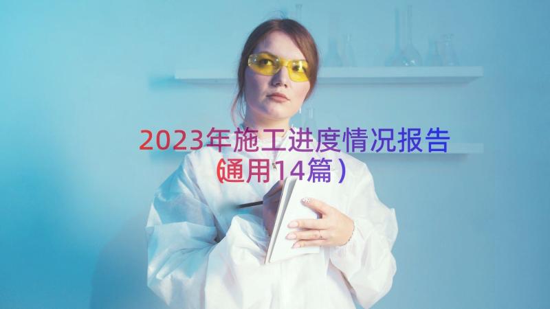 2023年施工进度情况报告（通用14篇）