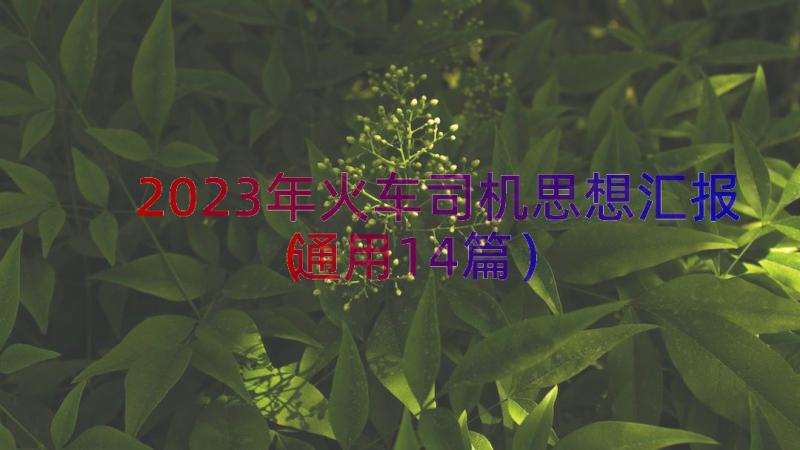 2023年火车司机思想汇报（通用14篇）