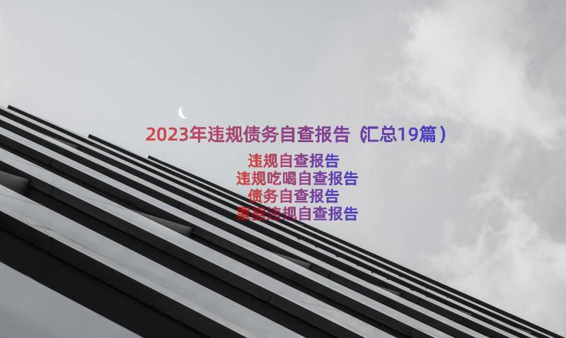 2023年违规债务自查报告（汇总19篇）