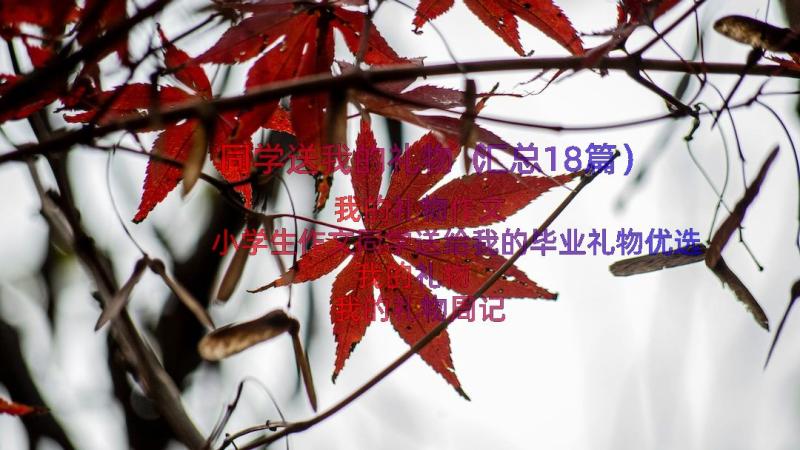 同学送我的礼物（汇总18篇）