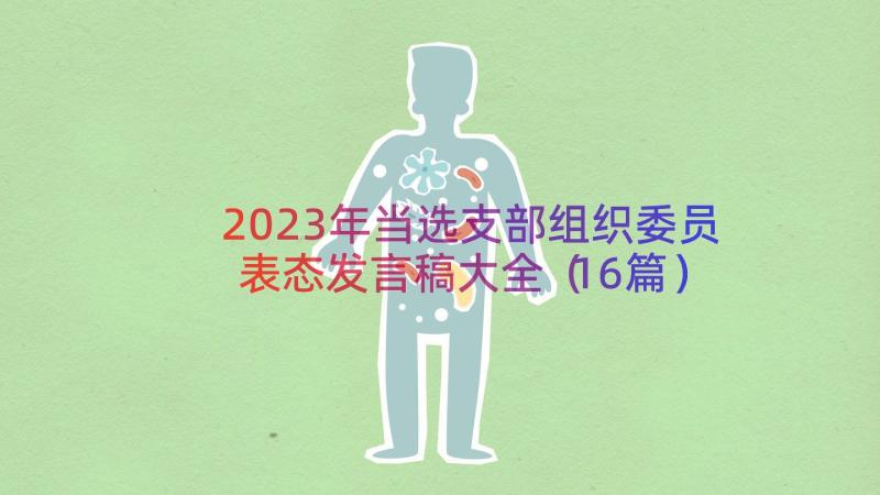 2023年当选支部组织委员表态发言稿大全（16篇）