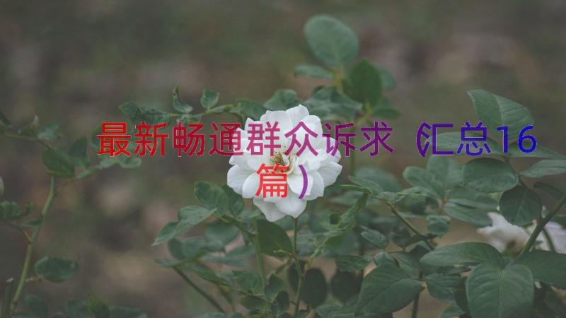 最新畅通群众诉求（汇总16篇）