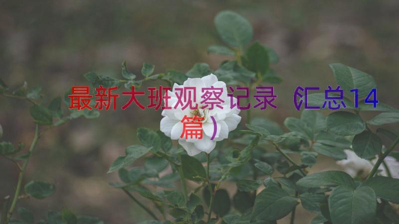 最新大班观察记录（汇总14篇）