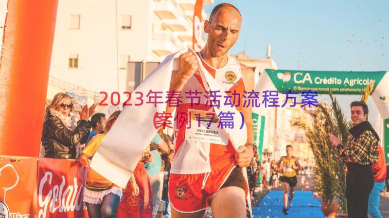 2023年春节活动流程方案（案例17篇）