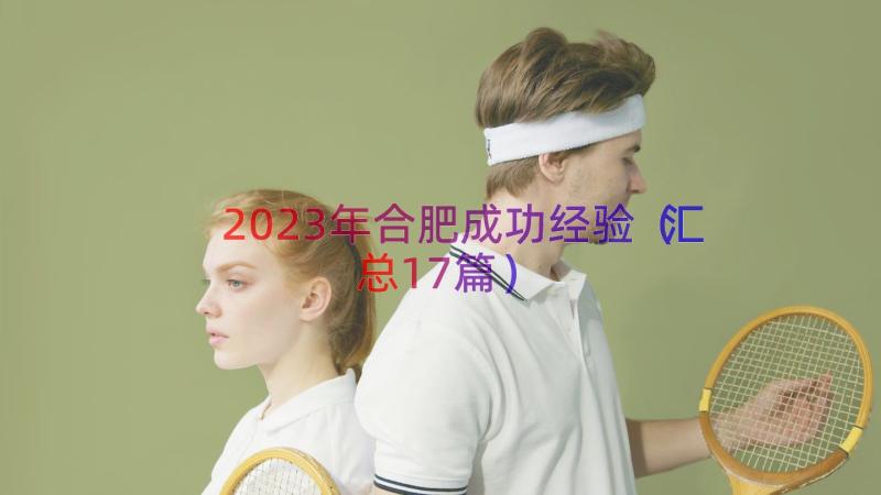 2023年合肥成功经验（汇总17篇）