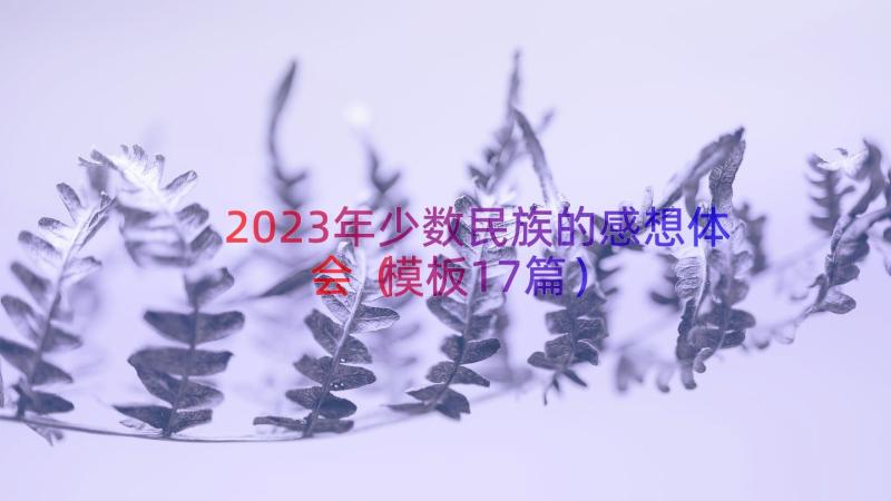 2023年少数民族的感想体会（模板17篇）