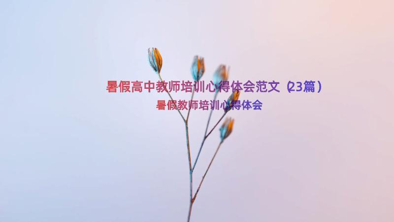 暑假高中教师培训心得体会范文（23篇）