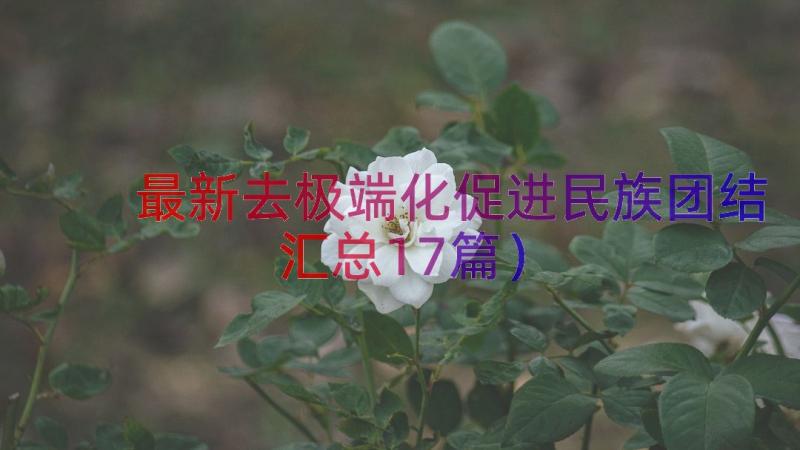 最新去极端化促进民族团结（汇总17篇）