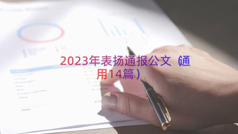 2023年表扬通报公文（通用14篇）