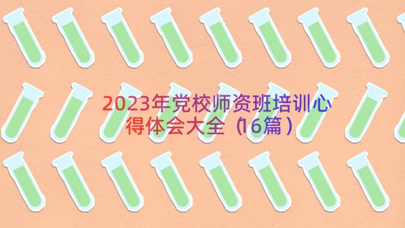 2023年党校师资班培训心得体会大全（16篇）