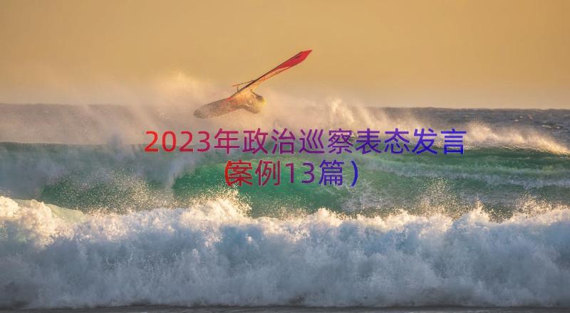 2023年政治巡察表态发言（案例13篇）