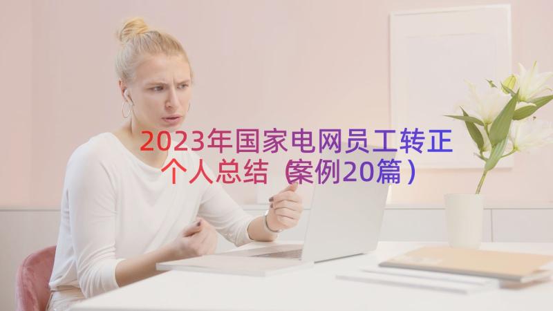 2023年国家电网员工转正个人总结（案例20篇）