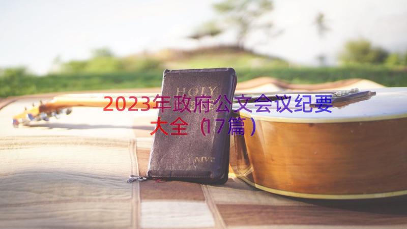 2023年政府公文会议纪要大全（17篇）