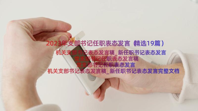 2023年支部书记任职表态发言（精选19篇）