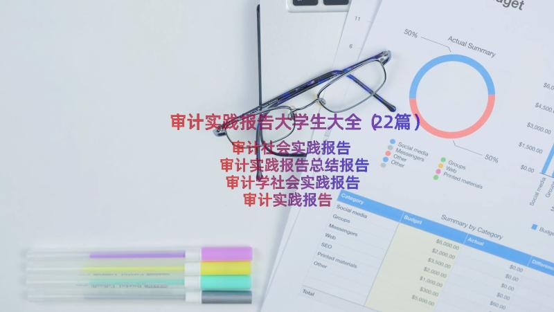 审计实践报告大学生大全（22篇）