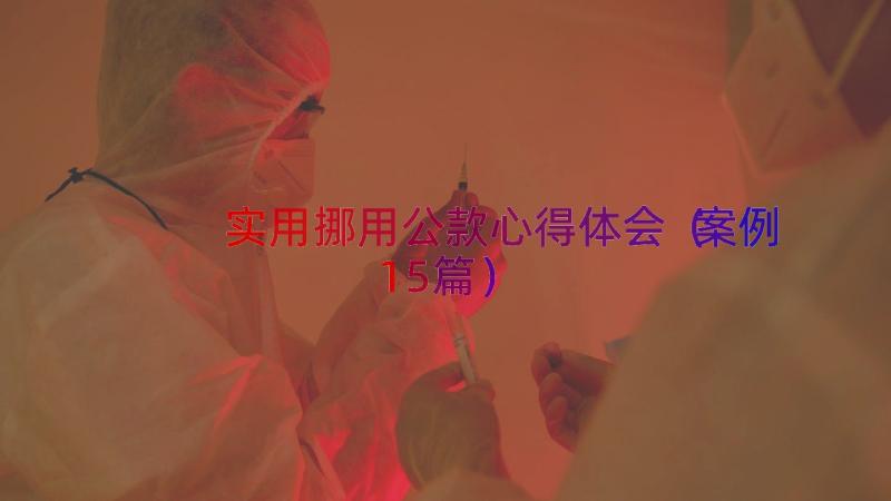 实用挪用公款心得体会（案例15篇）