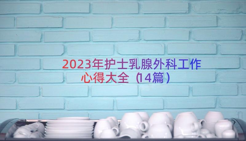 2023年护士乳腺外科工作心得大全（14篇）