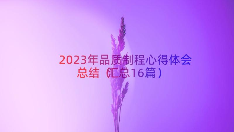 2023年品质制程心得体会总结（汇总16篇）