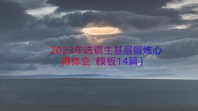 2023年选调生基层锻炼心得体会（模板14篇）