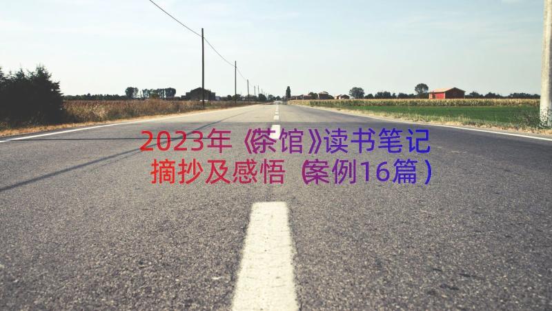 2023年《茶馆》读书笔记摘抄及感悟（案例16篇）