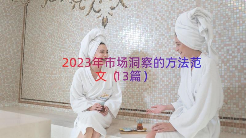 2023年市场洞察的方法范文（13篇）