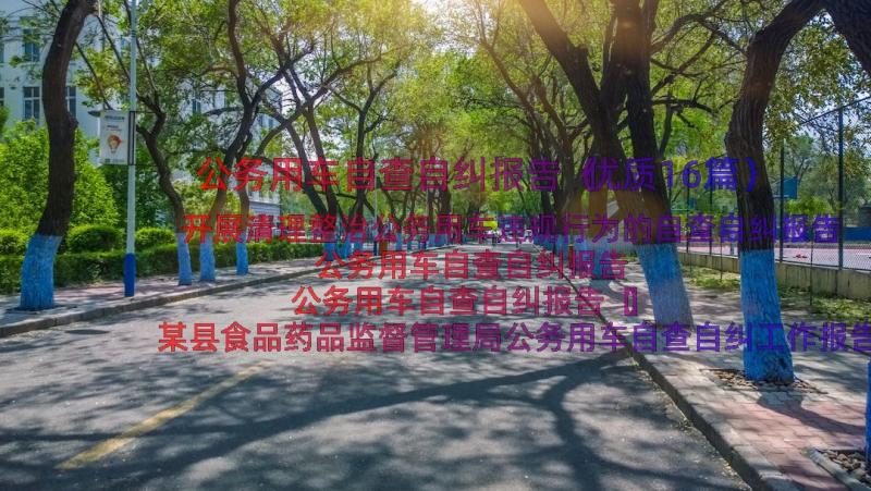 公务用车自查自纠报告（优质16篇）