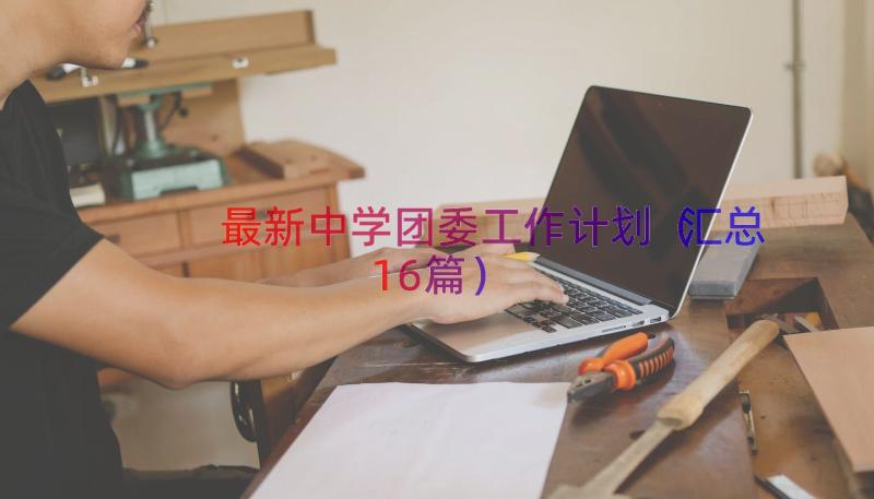 最新中学团委工作计划（汇总16篇）